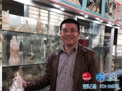 客户拜访