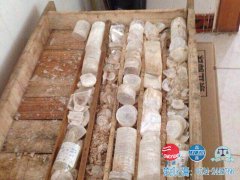 石膏原矿